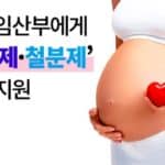임산부 철분제 엽산제
