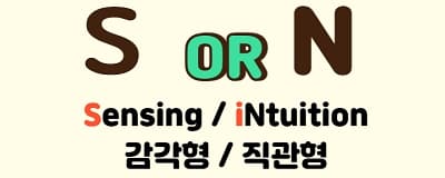 MBTI S or N